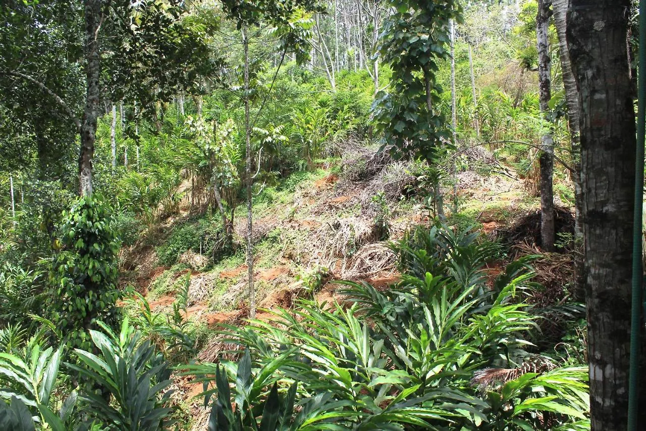 Arabian Nights Munnar Βίλα