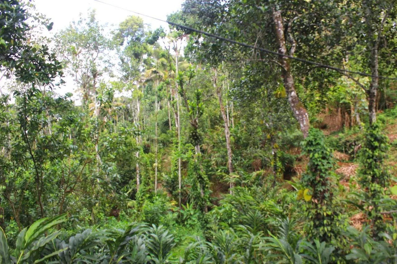 Vila Arabian Nights Munnar
