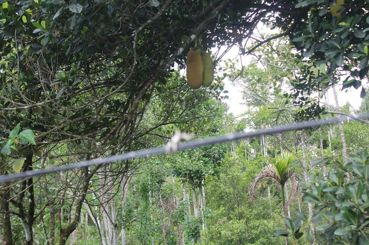 Arabian Nights Munnar Villa
